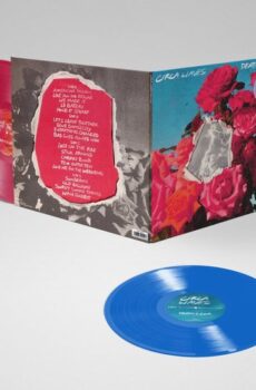 Circa Waves - Death & Love (2 LP)