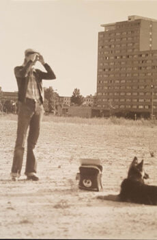 David Bowie - Bowie Now (LP, Comp, RE, Whi)