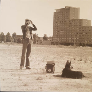 David Bowie - Bowie Now (LP, Comp, RE, Whi)