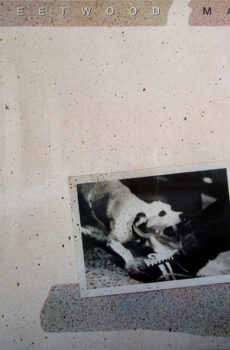 Fleetwood Mac - Tusk (2xLP, Album, RE, Sil)