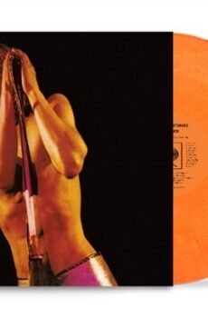 Iggy & The Stooges - Raw Power (LP)