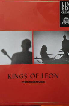 Kings Of Leon ‎- When You See Yourself LP