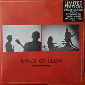 Kings Of Leon ‎- When You See Yourself LP