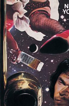 Neil Young - American Stars 'n Bars Vinyl Record