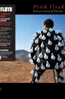 Pink Floyd - Delicate Sound Of Thunder (2xLP, Album, RE, RM, 180)