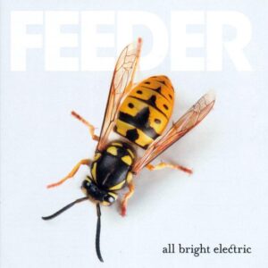 ALL BRIGHT ELECTRIC - FEEDER